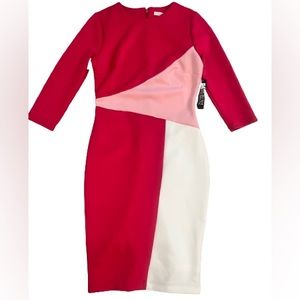 Pink Bodycon Dress